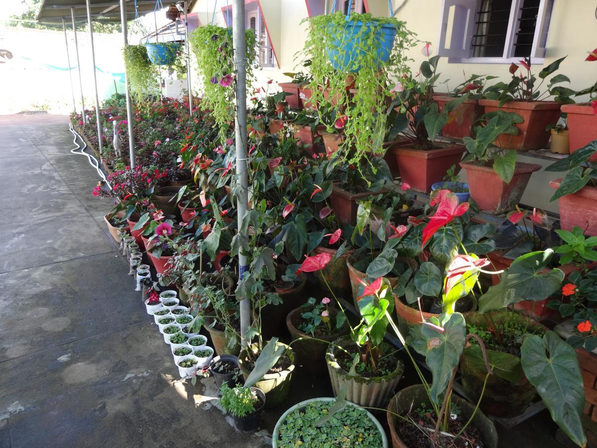 Cauvery Suites Madikeri Exterior foto